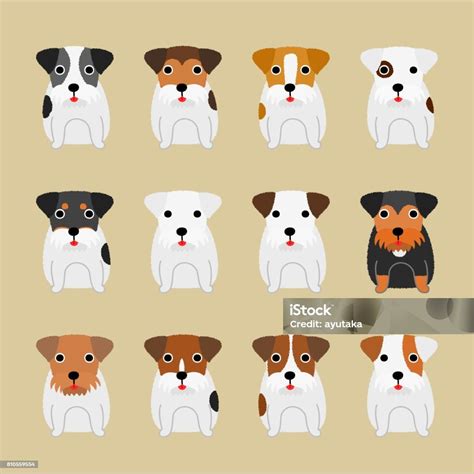 Cute Terrier Dogs Coloring Variations Stock Illustration - Download ...