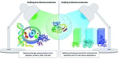 Enlightening advances in polymer bioconjugate chemistry: light-based techniques for grafting to ...