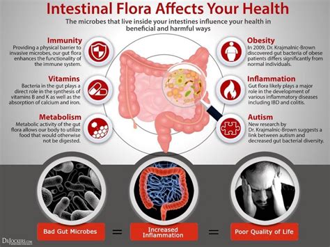 What is the Gut Microbiome Everyone's Talking About? | Muniq