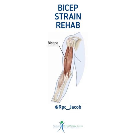 Bicep strain rehabilitation. – Rainham Physio