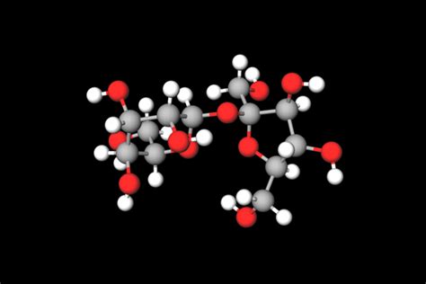 3d Model of Sucrose - American Chemical Society