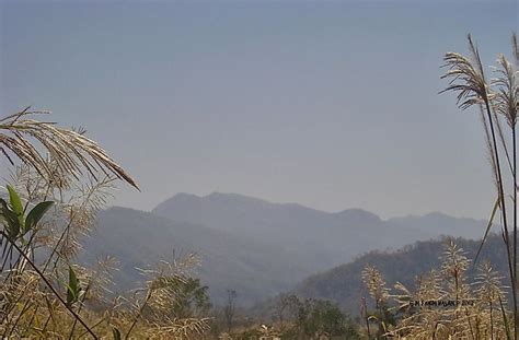 Tallest Mountains In Bangladesh - WorldAtlas.com