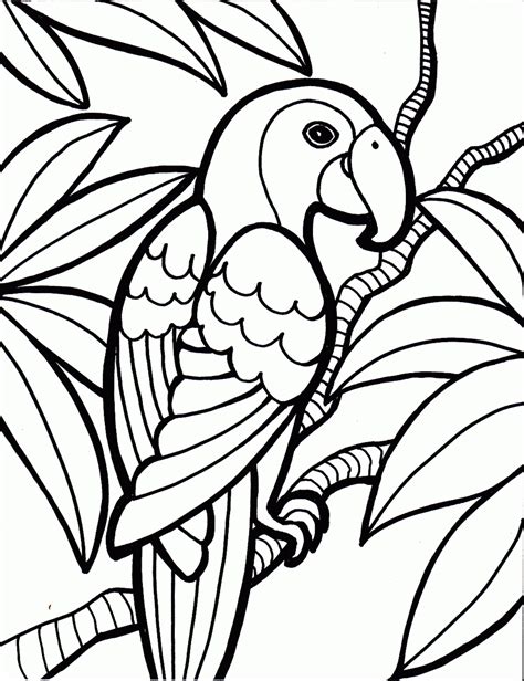 Coloring Now » Blog Archive » Bird Coloring Pages | Animal coloring pages, Bird coloring pages ...