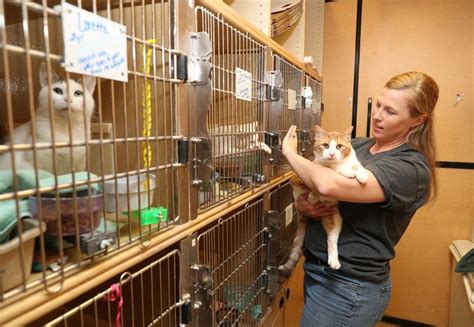 MHS, PetSmart to hold special pet adoption event | Good News | nonpareilonline.com