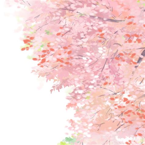 Spring Cherry Tree Cherry Blossom Petals, Spring, Cherry Tree, Cherry Blossoms PNG Transparent ...