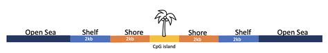 CpG islands (CGI), CpG Shores, CpG Shelves, Open sea in DNA methylation - 橙子牛奶糖 - 博客园