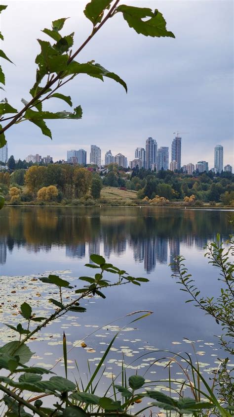 DEER LAKE PARK - 231 Photos & 40 Reviews - 6450 Deer Lake Avenue, Burnaby, British Columbia ...