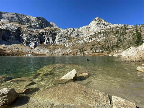 Photos of Silver Lake Trail - Utah | AllTrails