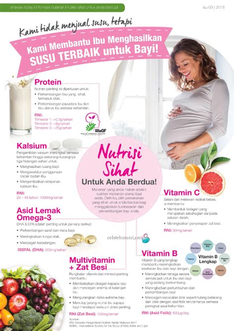 Nutrisi Lengkap untuk Ibu Hamil – Celoteh Ummi