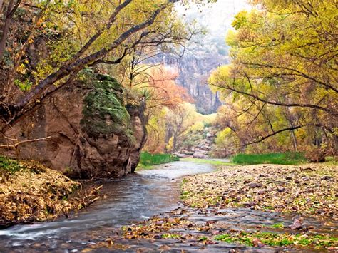 Arizona Wilderness Brewing Co. Heeds the Call of the Wild | The Beer Connoisseur®