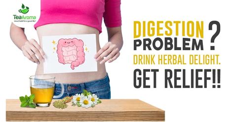 Herbs to Naturally Relieve your Digestion Problem – Tea Aroma