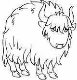 50  Yak Coloring Pages Free Printable PDF JPG PNG & Online sketch template