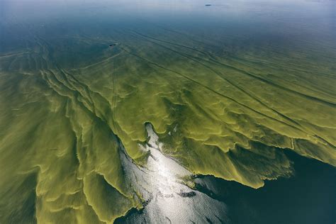 Another Year, Another Nasty and Toxic Lake Erie Algae Bloom ...