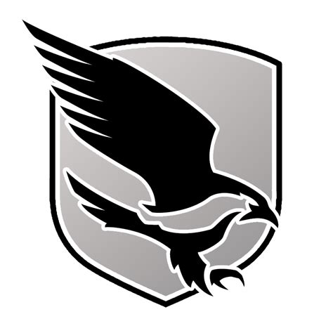 Nighthawk Logos