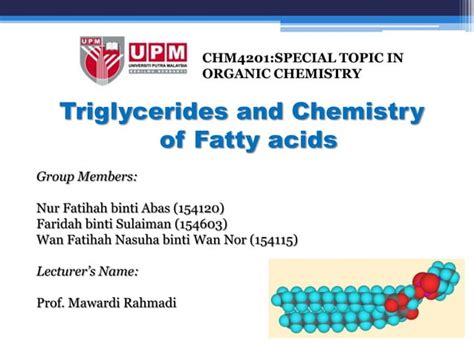 CHM4201 Triglycerides and Fatty Acids | PPT