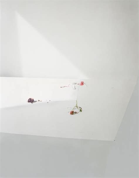 Laura Letinsky - Untitled 21 From The Series Ill Form Void Full for Sale | Artspace