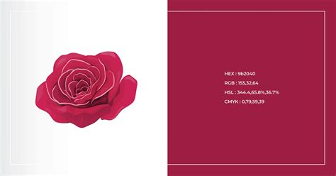 Rose Color Code: Discover the Meaning Behind Rose Colors