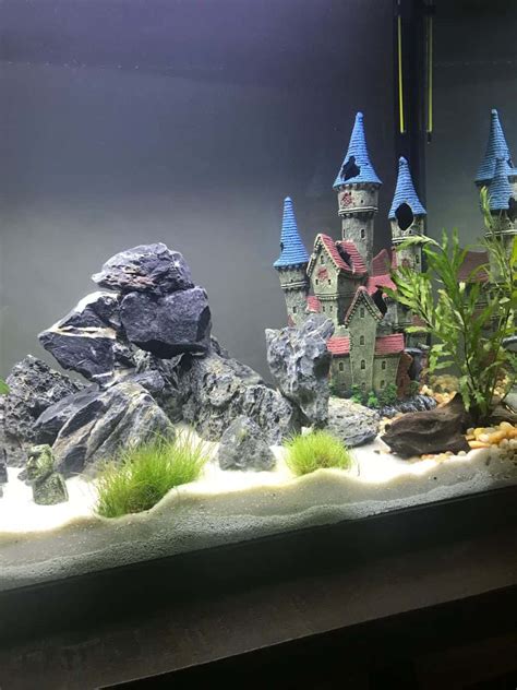 Aquarium Ornaments - aquariumH2o.com | Fish Tank Items