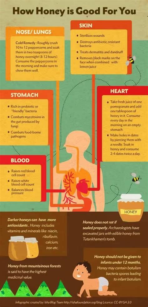 8 Benefits of Honey and Its Traditional Uses