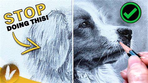 Key Components Of Fur - Drawing Realistic Fur Tutorial | How To Draw Fur Step By Step Do’s & Don ...