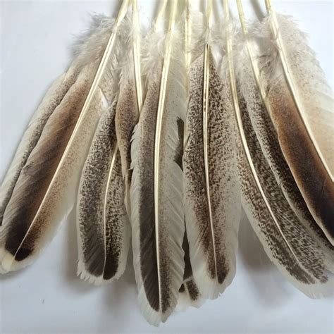 10PCS DIY natural turkey feathers 23 30 cm 9 12 inches for all types of decorative Indian-in ...