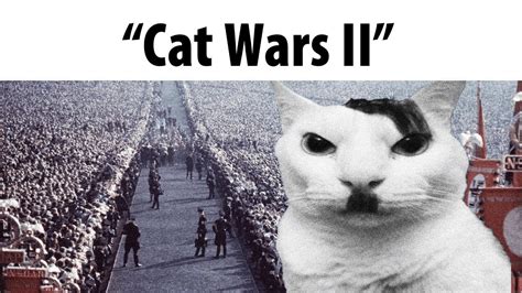 Cat Wars 2 - YouTube