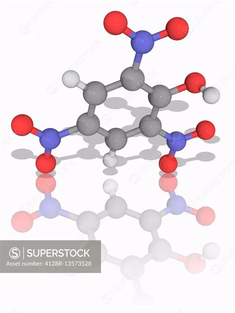 Picric acid. Molecular model of the phenol picric acid (C6.H3.N3.O7), an explosive organic ...