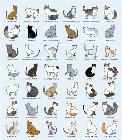 All Cat Colors | Hot Sex Picture