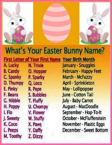 What Is Your Easter Bunny Name ? Just Check On The List Below :) - Ktchenor Answers - Fanpop