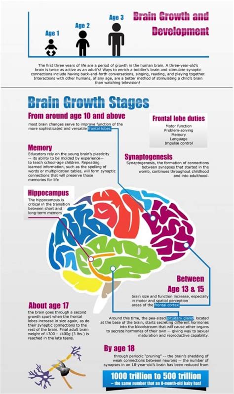 Teenage Addiction in the Brain - RecoverYES.com - Survival Tools for Anyone Living with an Addict