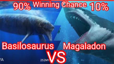 Basilosaurus Vs Megalodon