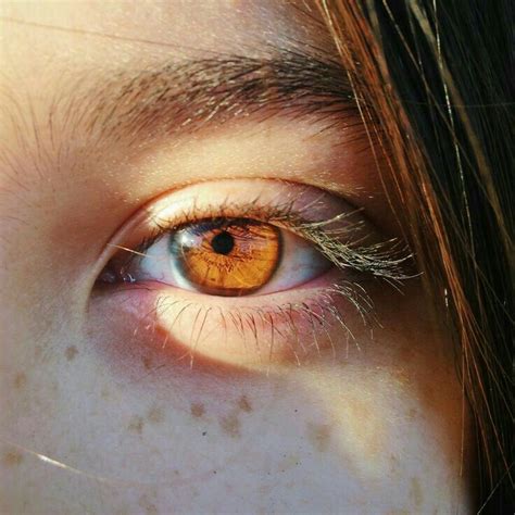 Pin by Дарья on Глаза | Brown eyes aesthetic, Aesthetic eyes, Eye ...