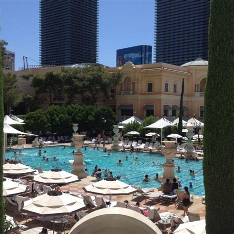 Pool @ the Bellagio | Poolside party, Vegas birthday, Poolside