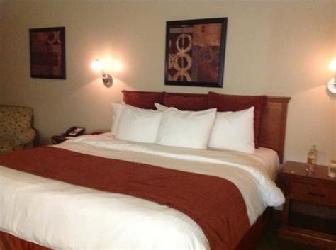 THE INN AT OHIO NORTHERN UNIVERSITY - Updated 2024 Reviews, Photos & Prices