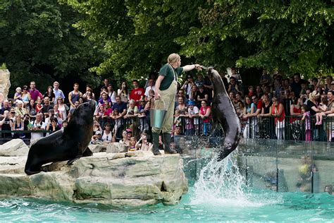 Schönbrunn Zoo I Buy tickets online I imperialtickets.com