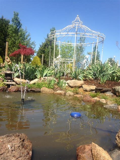 Japanese garden pond