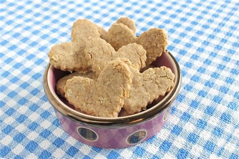 21 Dog Food Recipes For Allergies - WowPooch