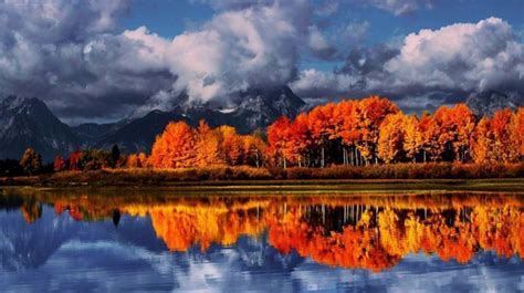 I never tire of blue and orange together in nature | Autumn landscape ...