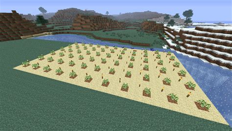 Tutorials/Tree farming – Official Minecraft Wiki