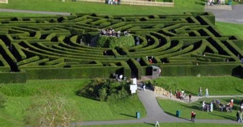 Maze Garden at Leeds Castle. This was fun to do. | Cultivate (Yard ...