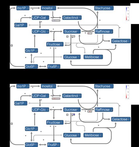 Mapman visualization of raffinose metabolism pathway modulation at (a ...