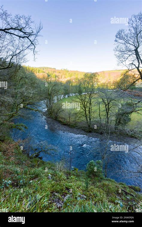 The River Barle from Burridge Woods near Dulverton in the Exmoor ...