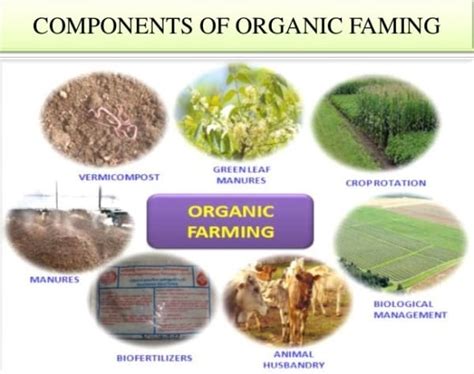 Organic Agriculture Information Guide | Agri Farming