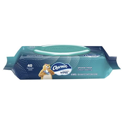 Charmin Flushable Wipes, 40 Flushable Wipes Per Pack - Walmart.com