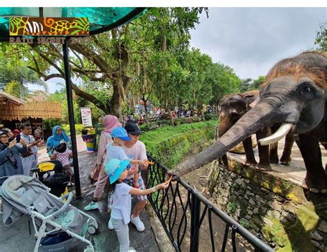 Batu Secret Zoo - Medical Tourism | Indonesia Healthcare Travel Industry