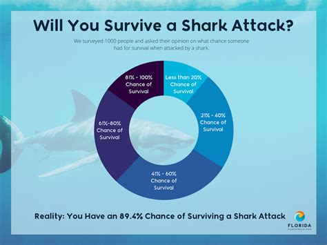 Shark Attack Survey and Data: Champagne Corks Are Deadlier Than Sharks