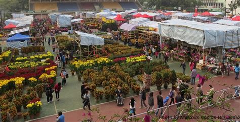 Flower Market Hong Kong | Hong Kong Travel Guide