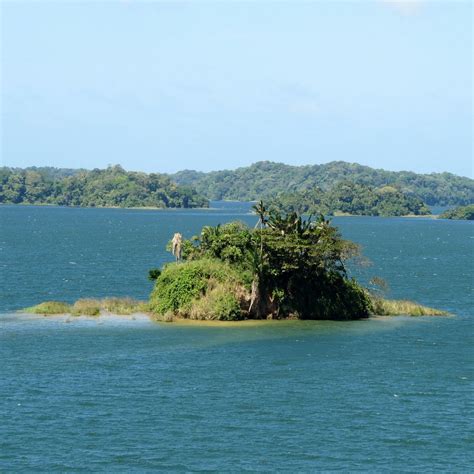 Gatun Lake - 파나마 시티 - Gatun Lake의 리뷰 - 트립어드바이저