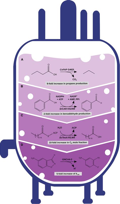 Frontiers | Computational Enzyme Engineering Pipelines for Optimized Production of Renewable ...