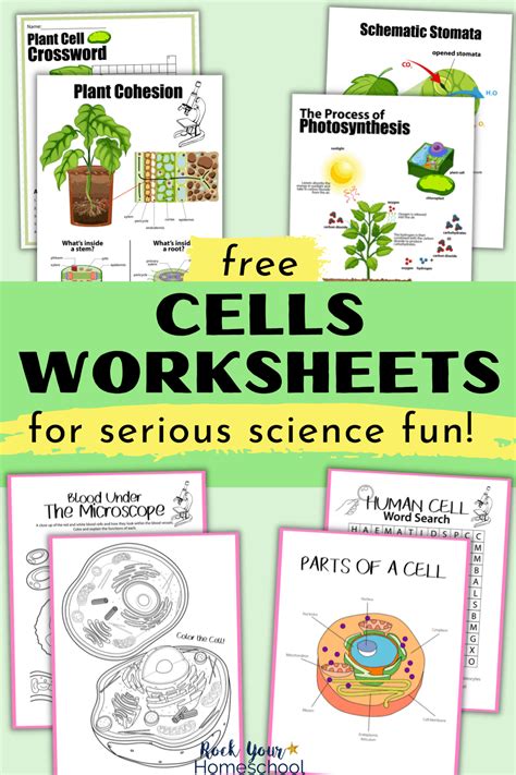 Free Cells Worksheets for Super Fun Science Activities for Kids